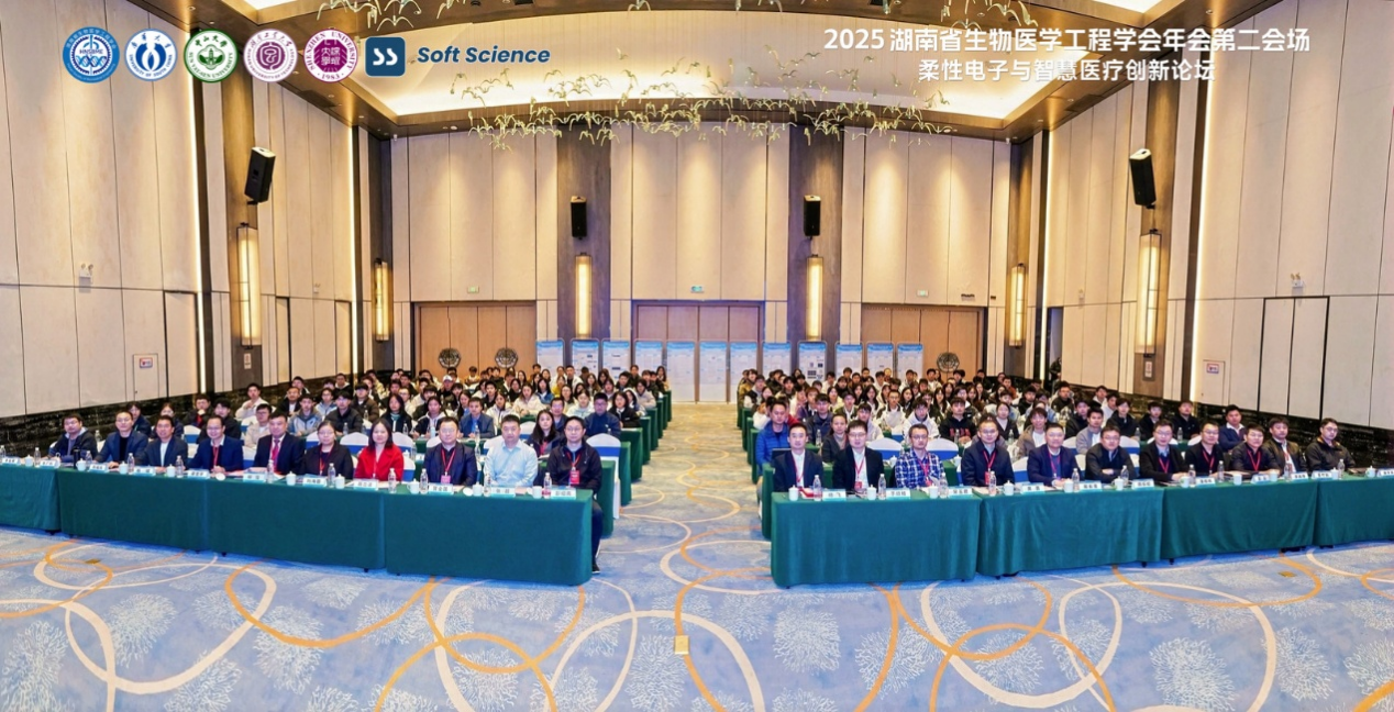 图片6 图片6
