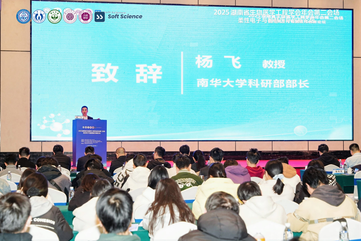 图片2 图片2